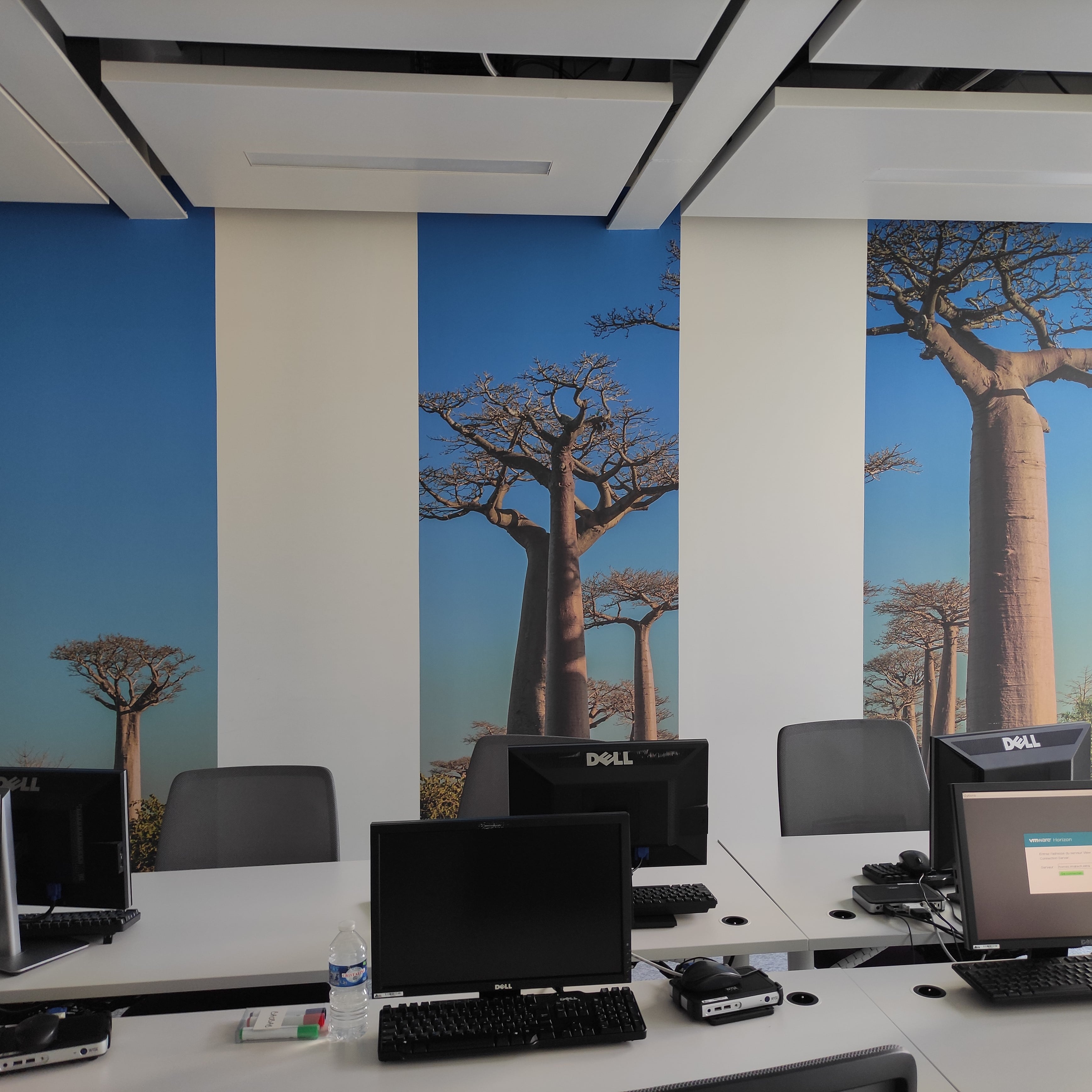 COMATEF - Tapisserie/Papier peint 3 lés Baobabs